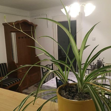 Levendula Apartmanház Appartamento Sümeg Esterno foto