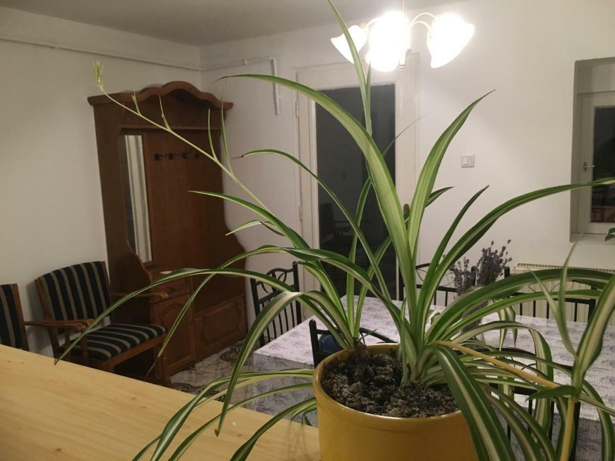 Levendula Apartmanház Appartamento Sümeg Esterno foto